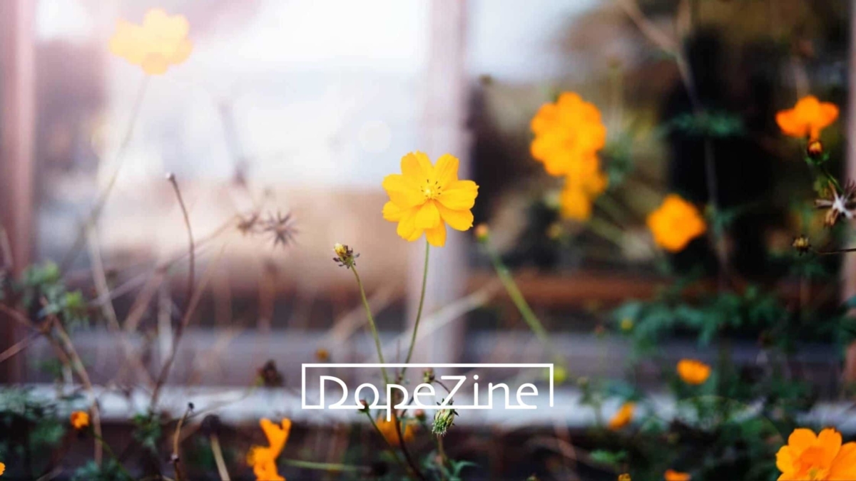 Photoshop 逆光フィルターを使ったワンランク上のクオリティに仕上げるレタッチ方法 Dopezine