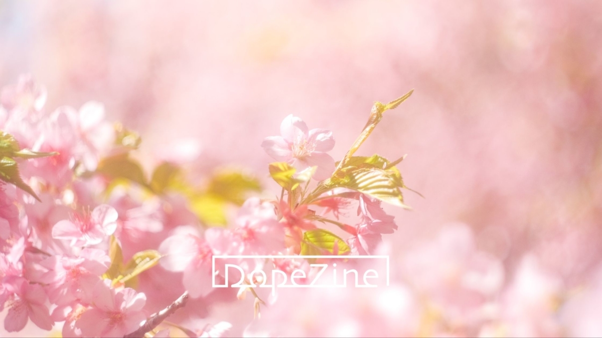花を美しく撮影するための撮影テクニックをシチュエーション毎に紹介 Dopezine 花を美しく撮影するための撮影テクニックをシチュエーション毎に紹介 Dopezine